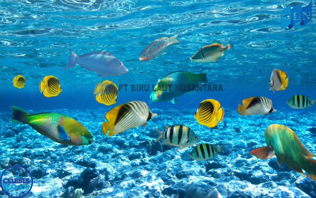 Why Are Saltwater Fish More Nutritious Than Freshwater Fish?